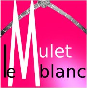 * Le Mulet Blanc à Montferrand