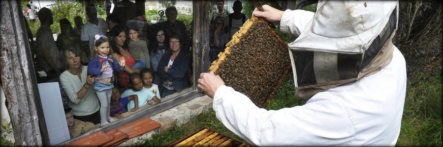 La Cité De L'abeille à Viscomtat