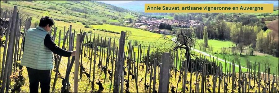 Domaine Sauvat à Boudes