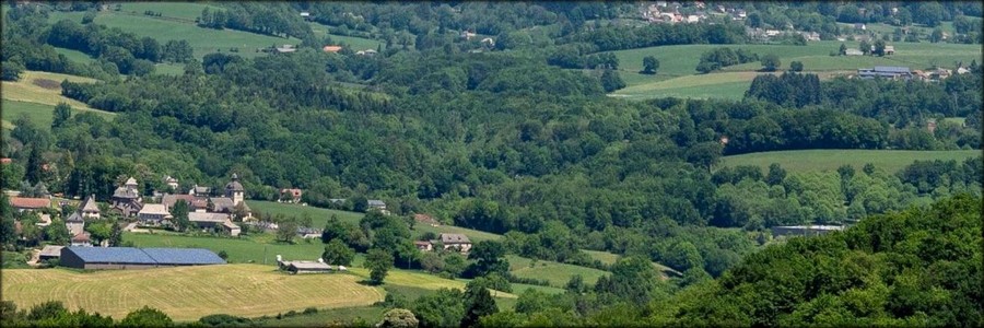 Mourjou (Puycapel) - 15