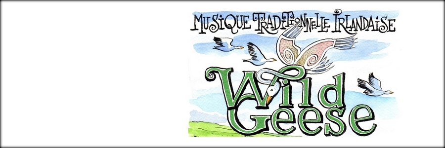 Wild Geese