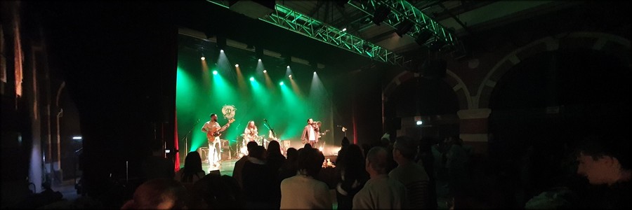 Musikado