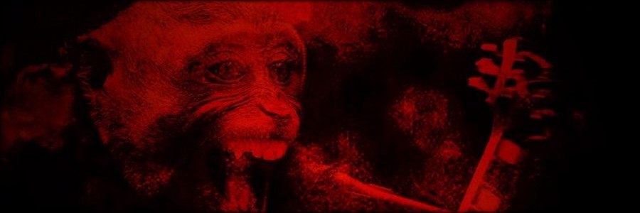 The Dark Moon Monkeys