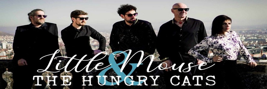 Little Mouse & The Hungry Cats