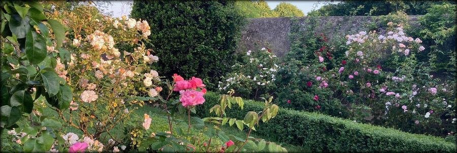Jardins de la Croze à Billom - 63