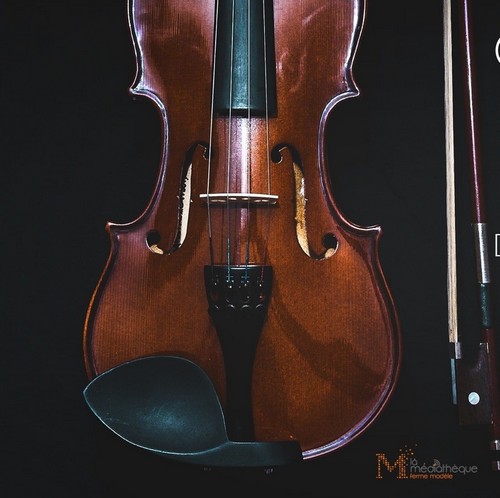 Le Violon Voyageur