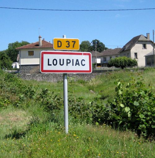 Loupiac - 15