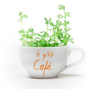 Le P'tit Café au Puy-en-Velay - 43
