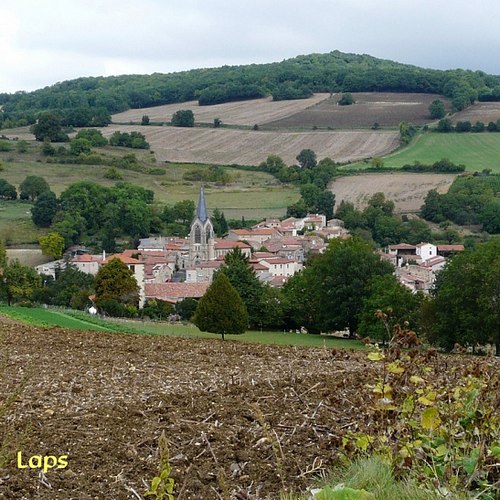 Laps