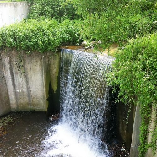Parc du Pourliat à Beaumont - 63
