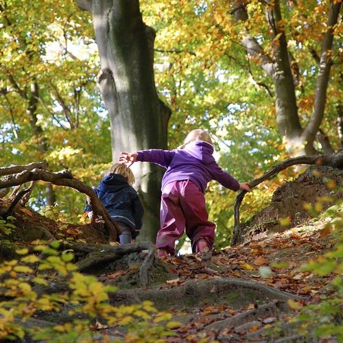 Tiers lieu de la forêt Lanna à St Ours les Roches