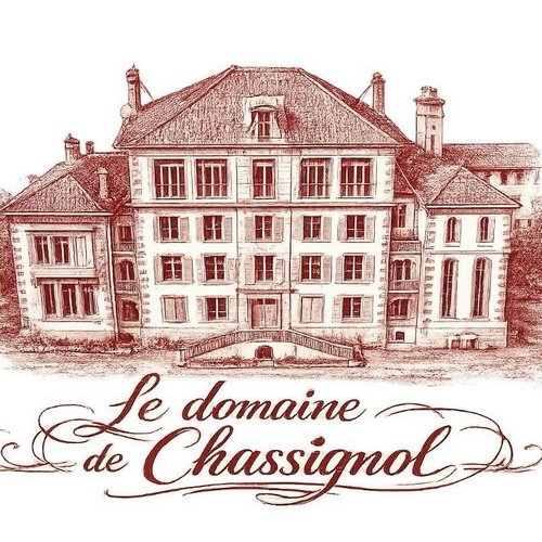 Domaine de Chassignol à Thiers - 63